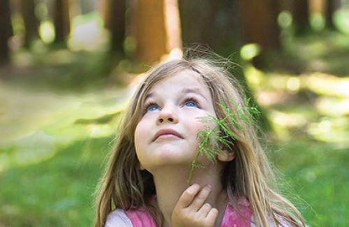 Young girl surrounded by trees looking up in awe